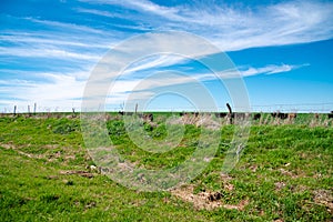 Barbed wire fencing and post under sunny cloud blue sky over free ranch farming cattle cow grazing in rural location North Texas,