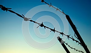 Barbed Wire