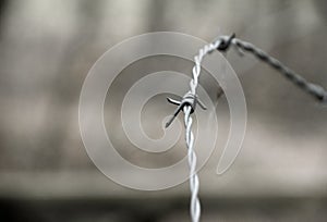 THE BARBED WIRE FULL OFF PAIN AND STRESS