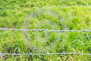 Barbed wire with grass in background