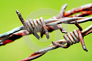 Barbed wire in a green backgro