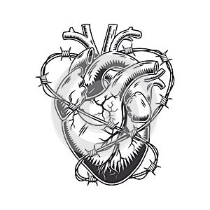 Barbed wire heart anatomically hand drawn line art. vintage Flash tattoo or print design vector illustration