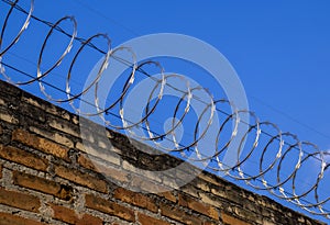 Barbed wire hedgehog and electric fence on top of a brick wall to protect a house