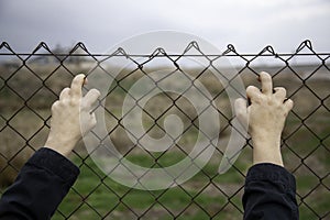 Barbed wire immigration