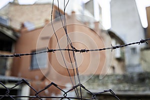 Barbed wire immigration