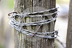 Barbed wire immigration