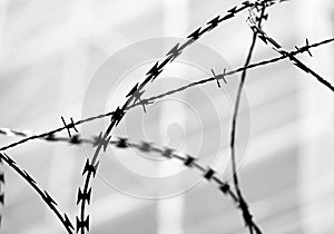 Barbed wire of an impassable border with black and white tones