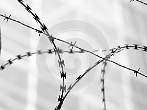 barbed wire of an impassable border with black and white tones