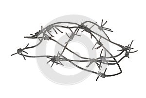 Barbed wire isolated on white background
