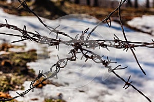 Barbed wire knoth