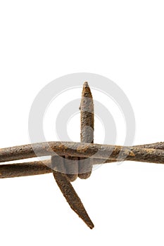 Barbed wire macro over white