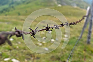 barbed wire on a meadow as a pasture fence