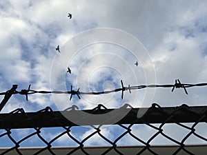 Barbed wire mesh fence against blue sky (selective focus of wire fence)