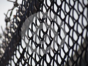 Barbed wire mesh, selective focus