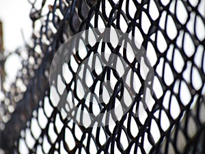 Barbed wire mesh, selective focus