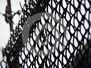 Barbed wire mesh, selective focus