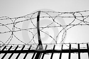 Barbed wire in a military area