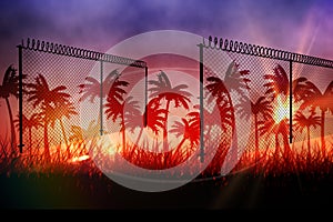 Barbed wire over silhouette of palm trees against sunset sky