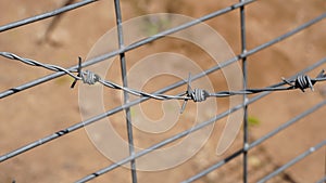 Barbed wire. Part of guarding farm fence