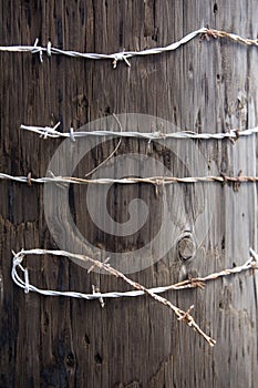 Barbed Wire Post