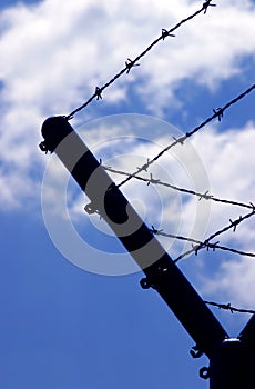 Barbed wire and post