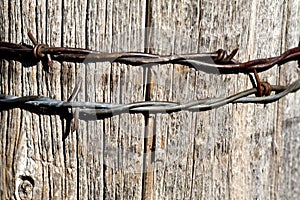 Barbed wire on post