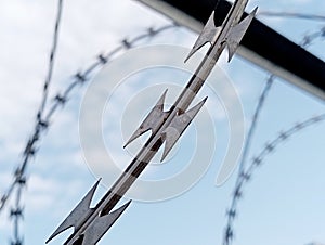 Barbed wire in a prison or in the army. Sharp military security fence. Close-up image. Crossed barbed wire.