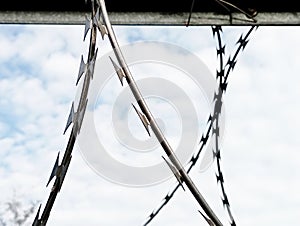 Barbed wire in a prison or in the army. Sharp military security fence. Close-up image. Crossed barbed wire.