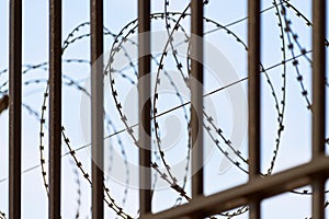 Barbed wire on prison fence