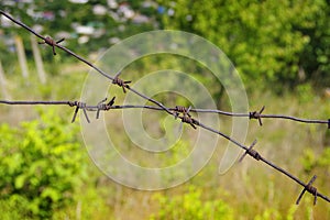 Barbed wire that prohibits access to some area. photo