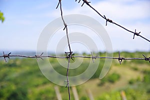 Barbed wire that prohibits access to some area. photo
