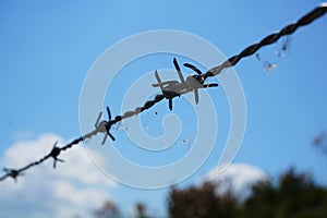 Barbed wire prominent in the picture, restricted area, no entry, shows a boundary.