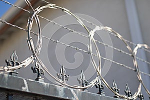 Barbed wire