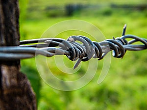 Barbed wire