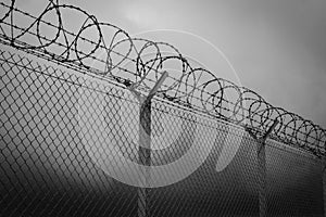 Barbed wire - restricted area, black and white