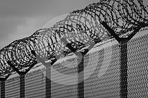 Barbed wire - restricted area. Black and white photo