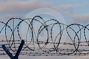Barbed wire - restricted area. Color photo