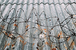 Barbed wire on gray roof