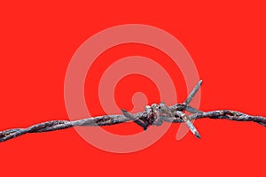 Barbed wire rust old isolated on red background, barbed wire rusty meaning to incarcerate, imprison, detention center photo