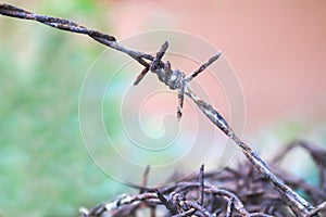 Barbed wire rust old, rusty old fences of barb wire that got tangled, barbed wire rusty meaning to incarcerate, imprison