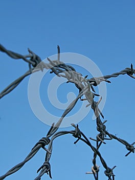 Barbed Wire Security Fence