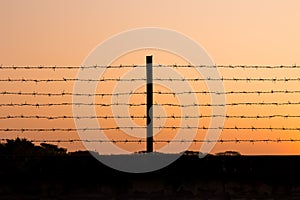 Barbed wire silhouette