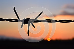 barbed wire silhouette on a fence at sunset