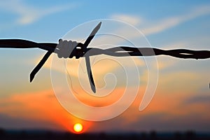 barbed wire silhouette on a fence at sunset