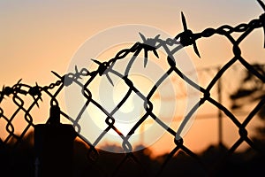 barbed wire silhouette on a fence at sunset