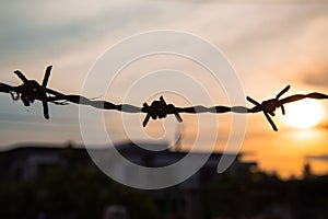 Barbed wire silhouette on sunset sky
