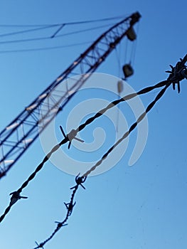 Barbed wire silouette photo