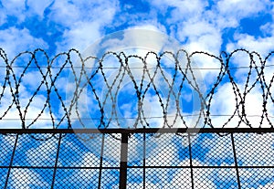 Barbed wire on the sky background