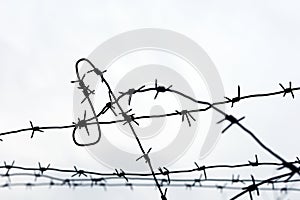 Barbed wire on sky background