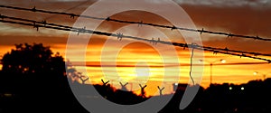 Barbed Wire Sky Fire